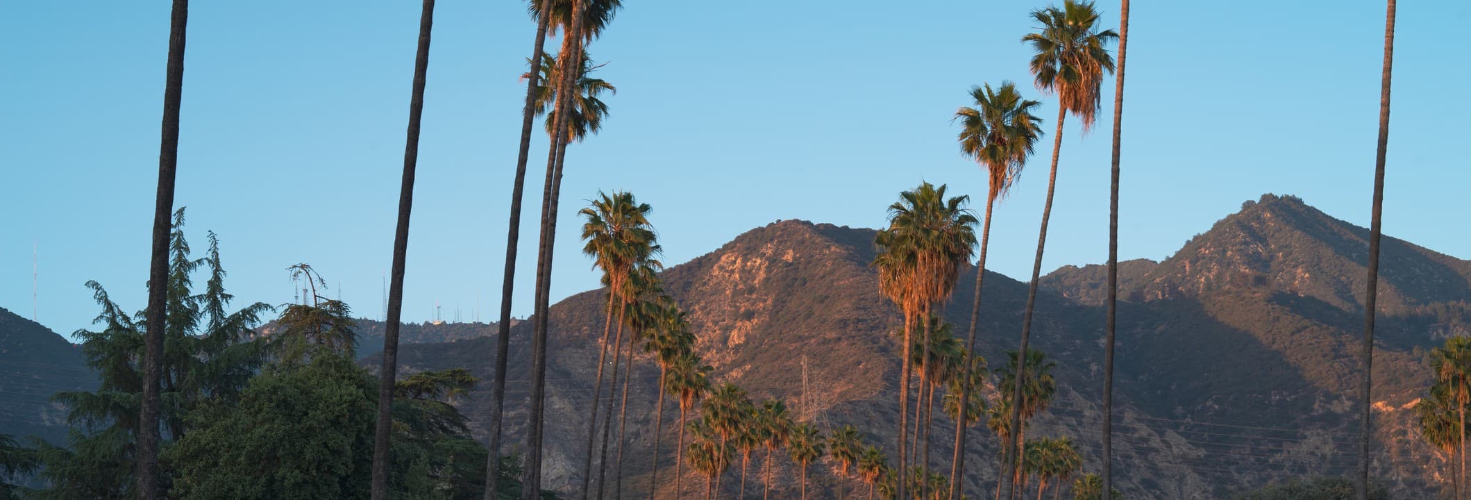 Eaton Fire Lawsuit: Legal Help for Survivors